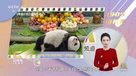 啊～用力cao我cao烂我公